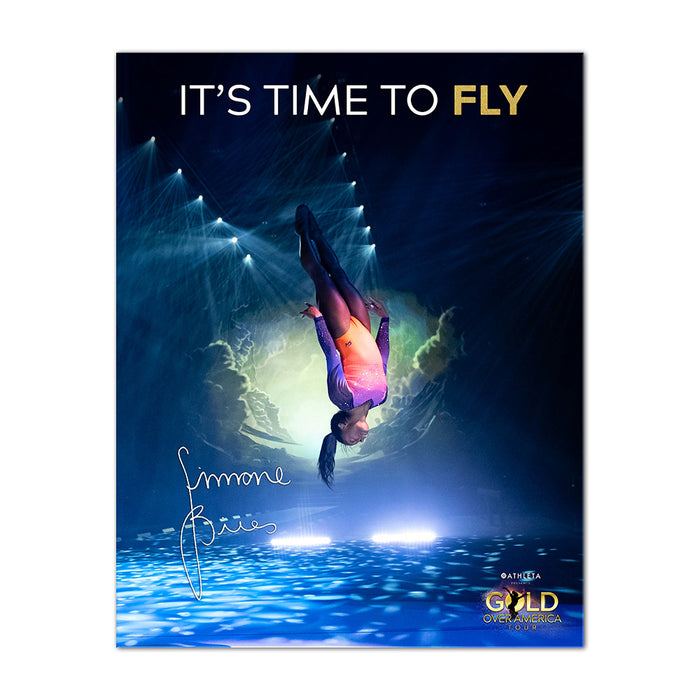 Gold Over America It's Time to Fly Poster